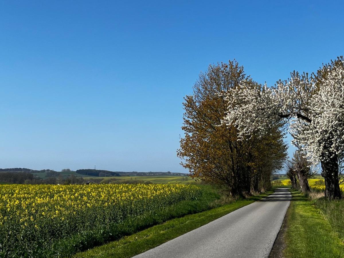 Gut Manderow An Der Ostsee Hohenkirchen  Luaran gambar